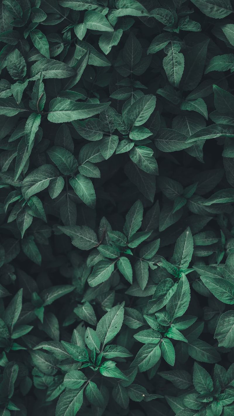 职场中年的心理转型